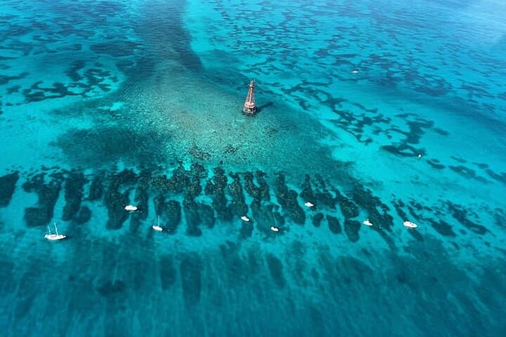 Snorkel and Sandbar Combo Adventure in Islamorada