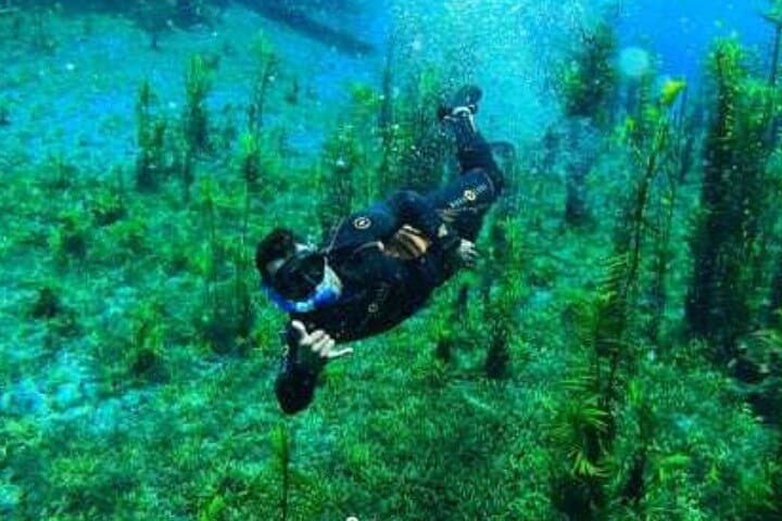 Beautiful : Snorkeling at the Blue River Fervedouro