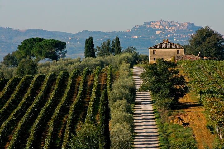 Wine lovers experience in Montepulciano: full day