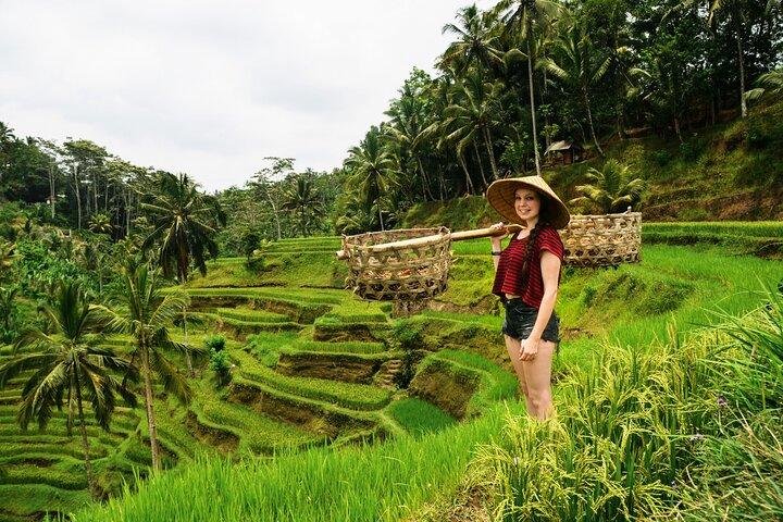 Private 1-Day Ubud Highlights Tour