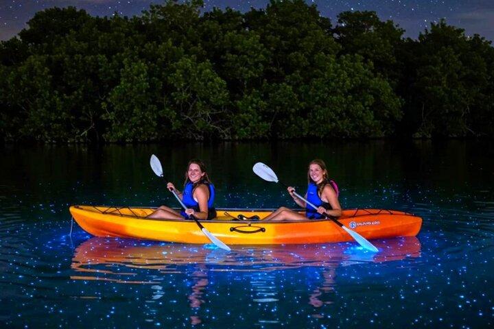 Vieques Bio Bay Tour and Beach Day Trip from San Juan by Ferry