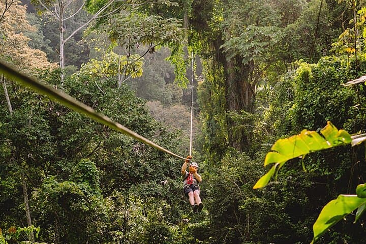 Zipline in the Rainforest with Transportation