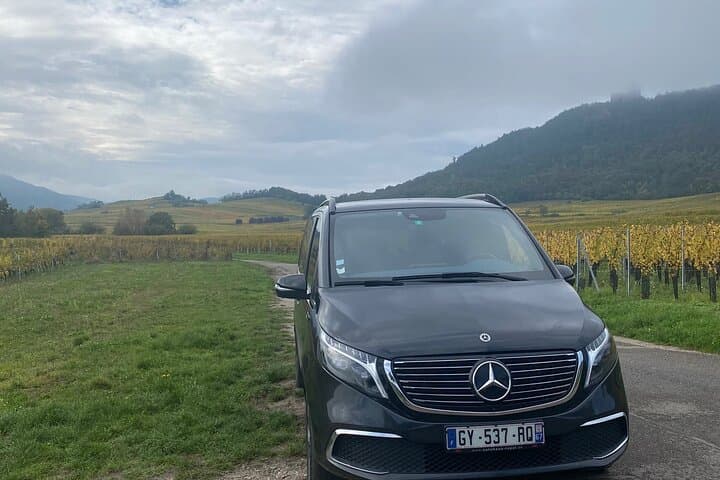 Private Full Day Alsace Castles Villages and Wine Tasting