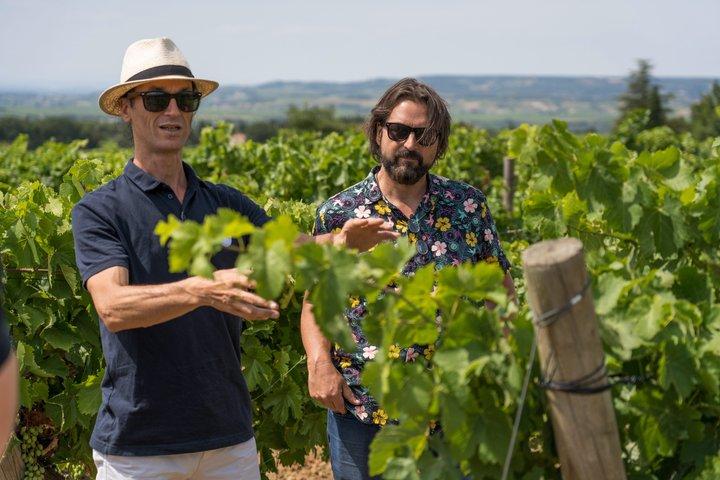 Afternoon Wine Tour to Chateauneuf du Pape from Avignon