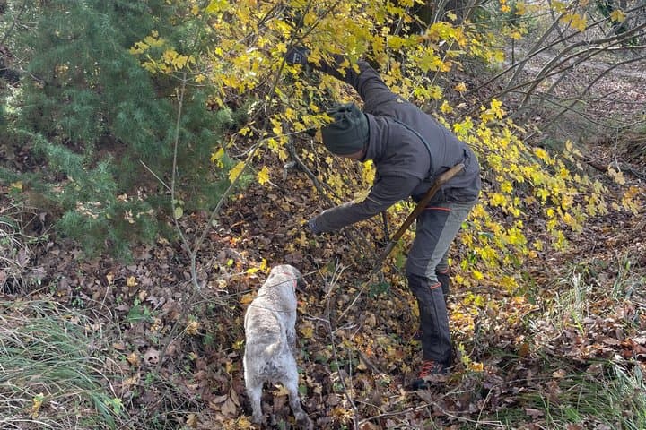 Luxury Truffle Hunt with Lunch and Wine Tasting