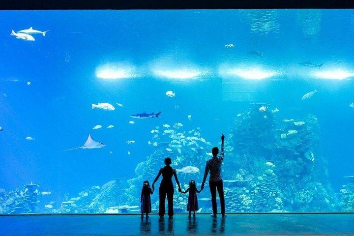 Tickets to the Grand Aquarium Mazatlan