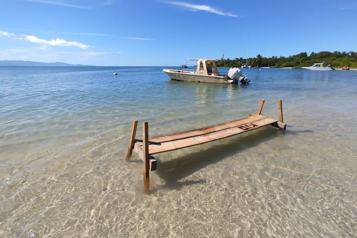 Mangrove Boat Tour Small Group Guadeloupe