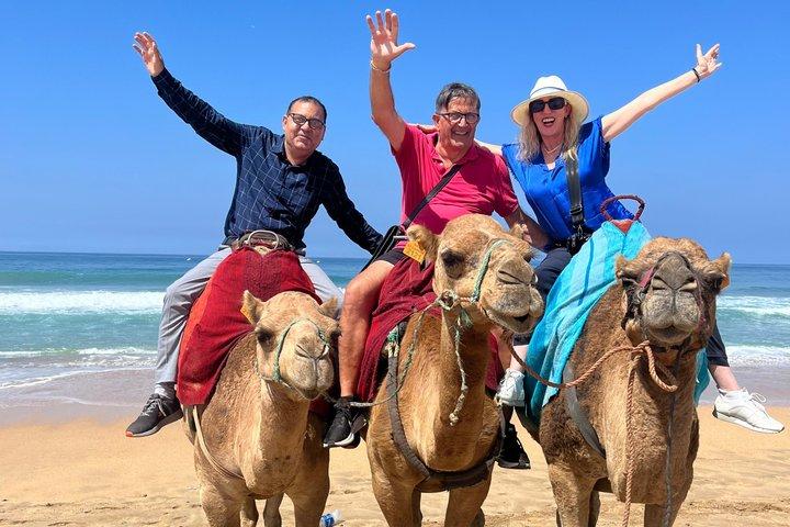 Tangier Luxury Private Full-Day Tour W Lunch for Cruise Travelers