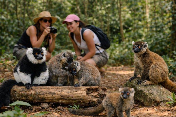 3 Days Andasibe Mantadia Private Tour