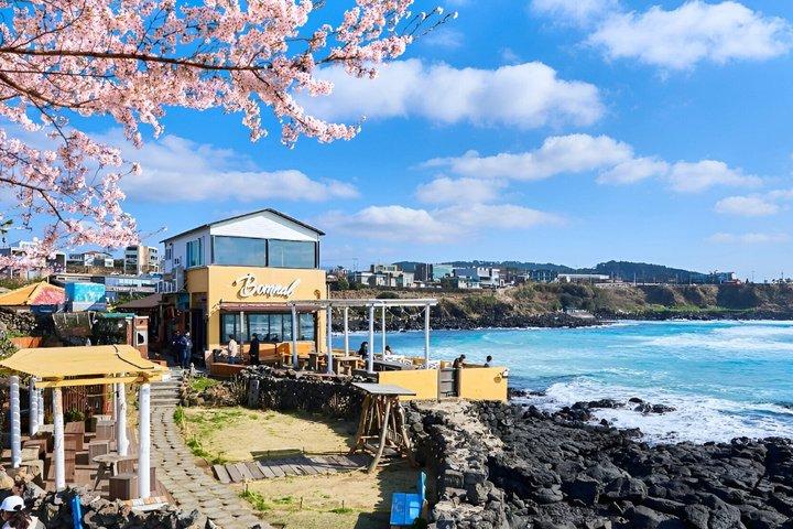 Jeju WestSouth One Day Tour with MT.Halla & UNESCO