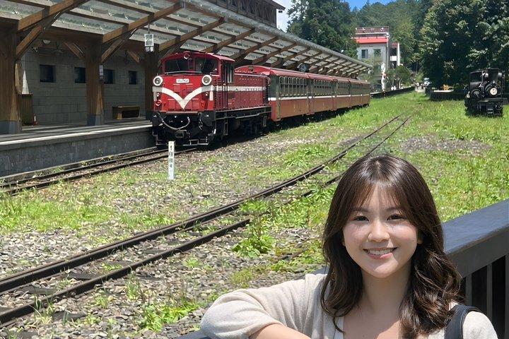 Alishan Join-in Day Tour from Kaohsiung (Incl. Park Entrance)