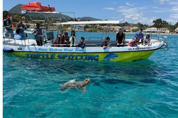 Guaranteed Turtle Spotting 3 Hours Zakynthos Swim and Caves