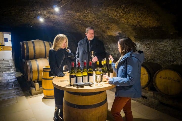 Prestigious Wine Tour in Côte de Nuits