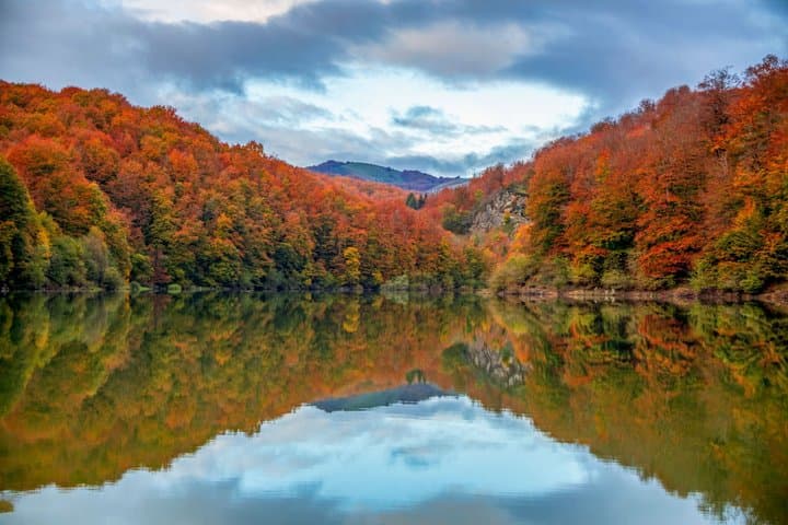 Day Trip to Irati Forest and Ochagavia from Pamplona