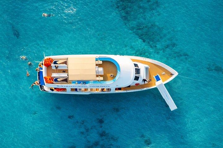 From Paphos: Blue Lagoon, Sea Caves & Aphrodite's Baths Day Trip