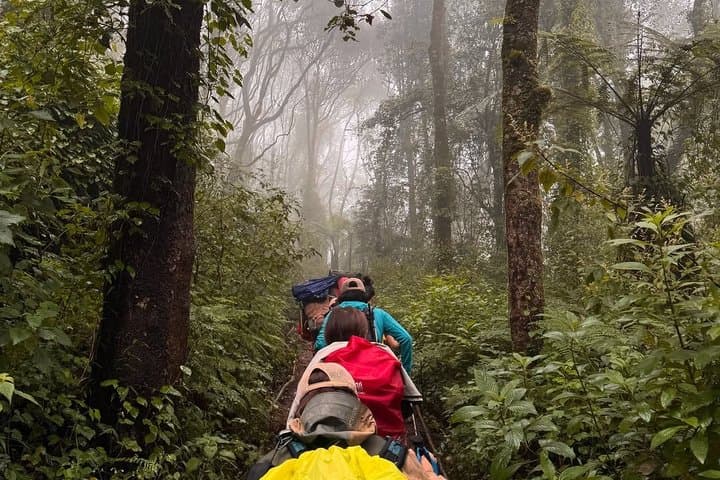 Kilimanjaro day hike tour marangu route