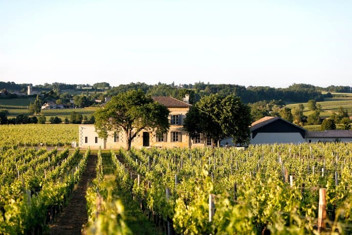 Château Grangey Visit and tasting in the heart of the vineyard