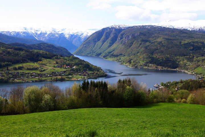 Private Shore Tour: Ulvik Nature Walk & Osa Fjord Viewpoint