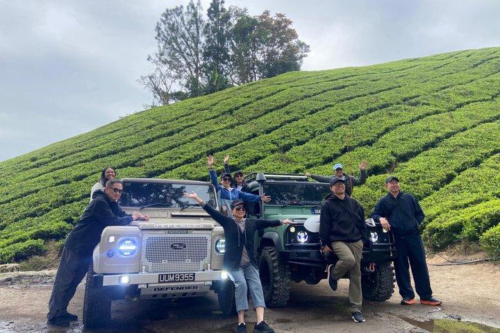 Full Day Mossy Forest Experience