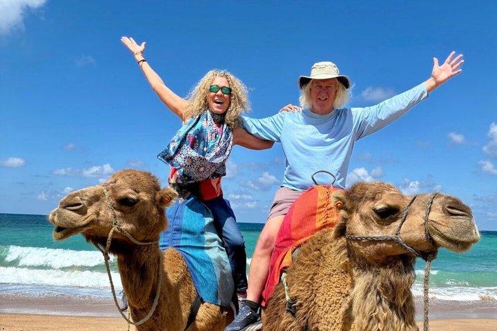 Luxury Private Half-Day Tour of Tangier