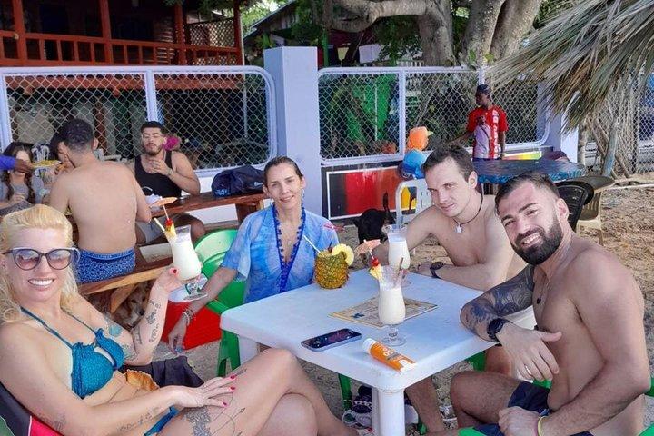 Catamaran Tours of the Cove and Mangroves