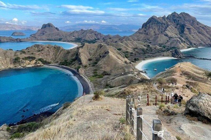 Early Morning Group Speedboat Tour to Komodo National Park