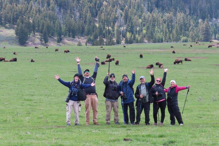 Lamar Valley Safari Hiking Tour with Lunch