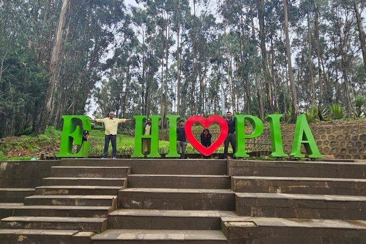 Private Addis Ababa Layover Tour Lucy Museum Mercato and More