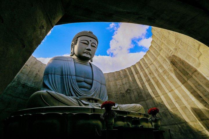Hokkaido Shrine and Otaru Highlight 1 Day Tour from Sapporo