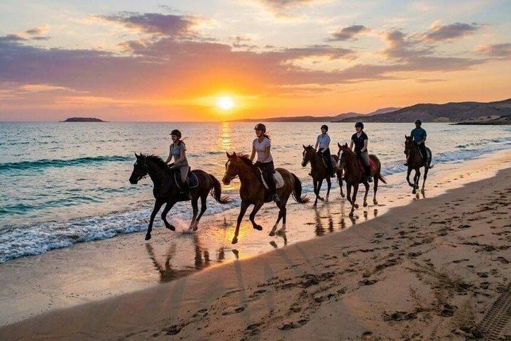 Horse Riding Adventure : Desert, Beach & Horse Swim – Hurghada