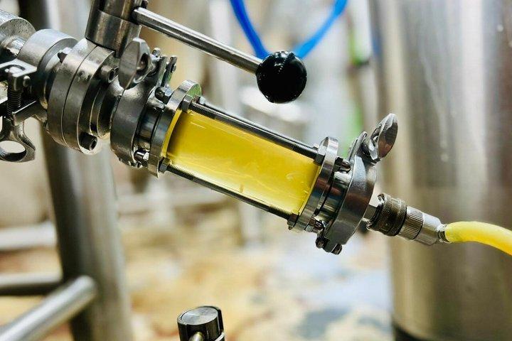 The Experience of Craft Beer From Plant to Pint