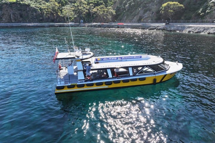 Catalina Island Ultimate Underwater and Coastal Adventure Cruise
