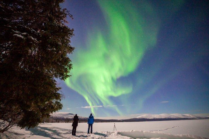 Private Evening Snowmobile Safari with Aurora Spotting