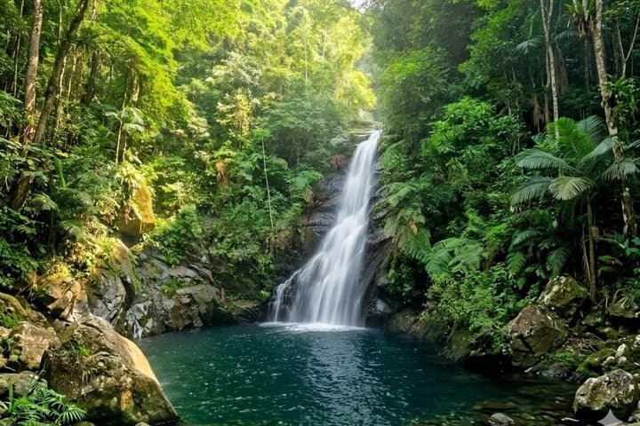 São Paulo Waterfalls Hike Beach View and Chairlift Tour
