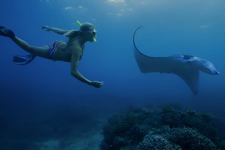 Snorkeling In Nusa Penida Departing From Bali Island