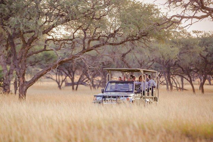 Scenic Game Drive