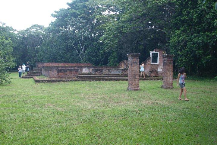 Jodensavanne Tour in Paramaribo