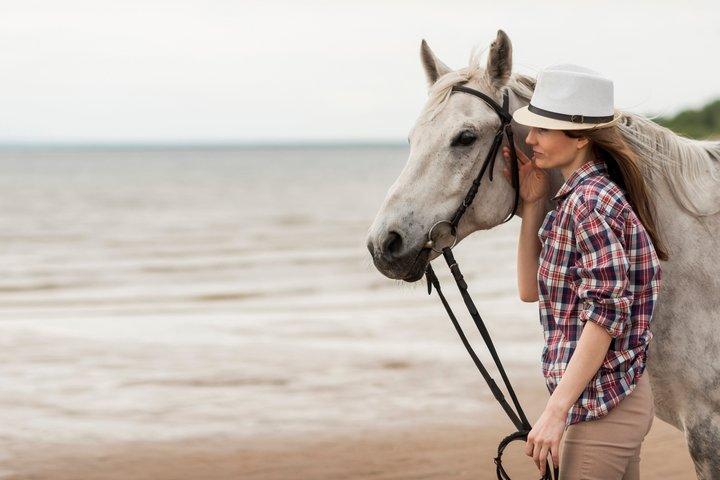 Guided Horseback Ride Through the Camargue