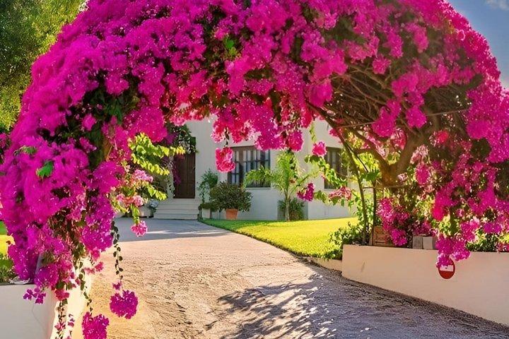 Best Olympia Tour for Cruise Passengers from Katakolon Port