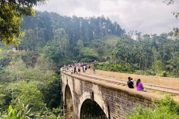 Scenic Train Journey from Ambewela to Ella