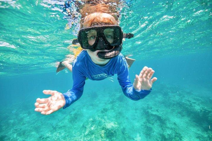 Morning Half Day Cruise from Providenciales with Snorkeling and Iguana Island