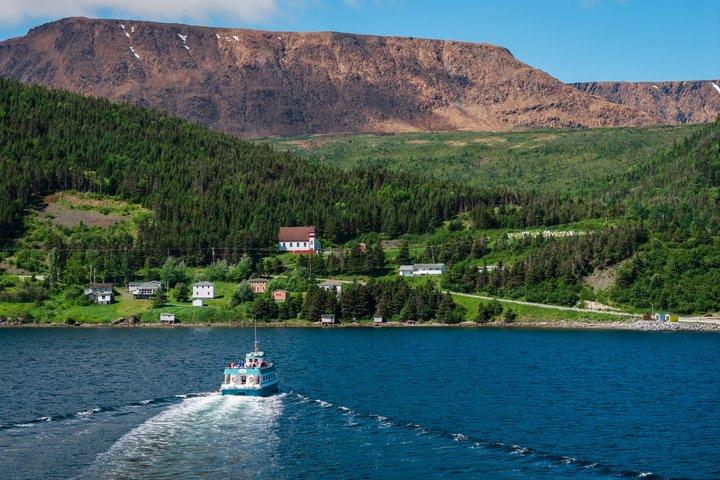 Tablelands Bonne Bay Catamaran Tour