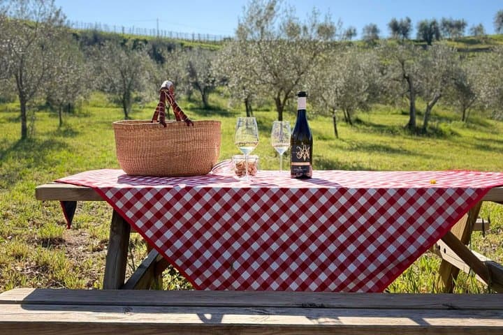 Vineyard Picnic at a Family Winery Near Orvieto