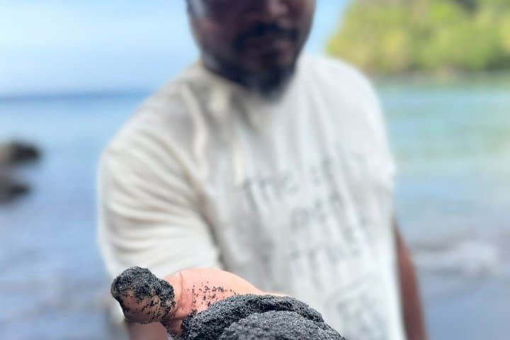 Easy's Mystery Tour: Black Sand Beach, Bat Cave & Waterfall