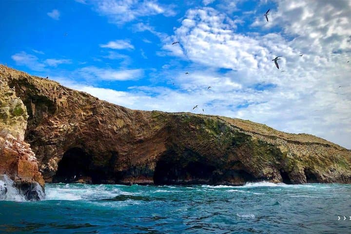 Ballestas Islands Tour from Huacachina or Ica – Round Trip