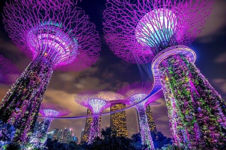 Singapore: Gardens by the Bay Admission E-Ticket
