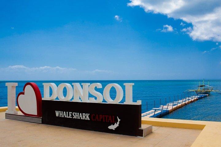 Donsol Private Transportation and Tour