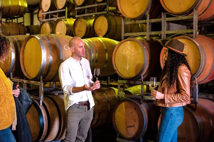 Margaret River Small-Group Curated Wine, Coffee, Lunch & Forest