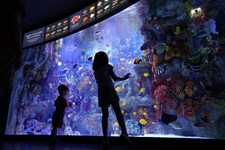 New England Aquarium Admission Ticket in Boston