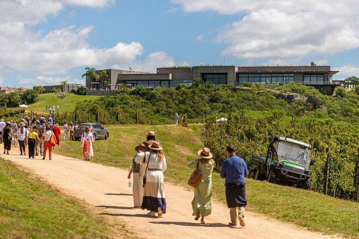 Bodega Garzon Wine Experience with Private Transfer